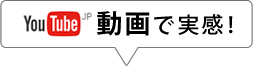 動画で実感